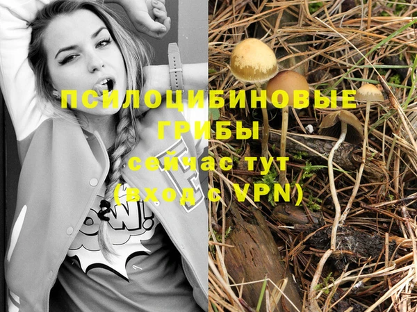 МДПВ Алзамай