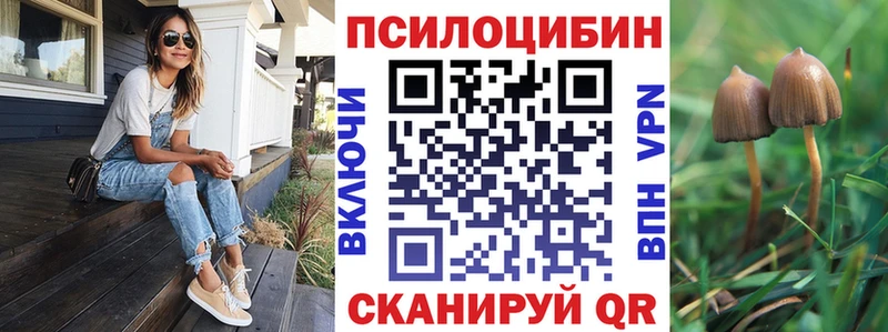 Псилоцибиновые грибы Psilocybine cubensis  продажа наркотиков  Минусинск 